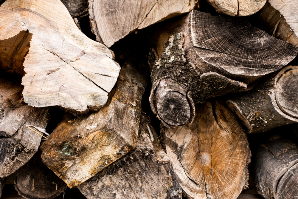 Stacked firewood